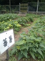 20100215Farm Visit27.jpg